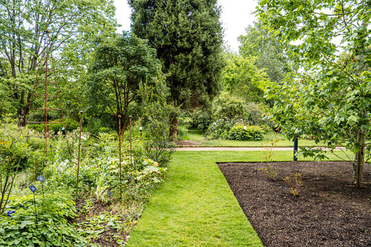 Lush vegetation in the University of Oxford Botanic Garden, the oldest botanic garden in Britain, founded in 1621, Oxford, England, UK. 