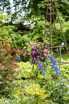 Lush vegetation in the University of Oxford Botanic Garden, the oldest botanic garden in Britain, founded in 1621, Oxford, England, UK. 