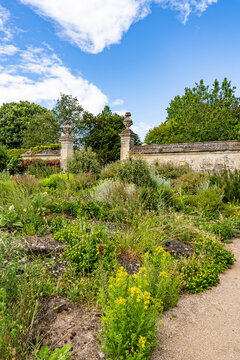 Lush vegetation in the University of Oxford Botanic Garden, the oldest botanic garden in Britain, founded in 1621, Oxford, England, UK.