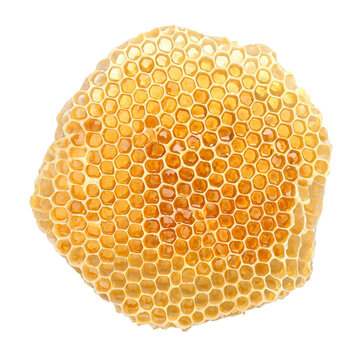 Honeycomb, small resolution stock
