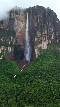 Majestic angel falls cascading over sheer cliffs into lush rainforest, dynamic natural wonder footage.