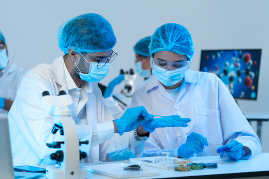 Man and woman in masks and hairnets studying small specimens at a microscope bench with petri dishes, molecular model on screen in blue light.