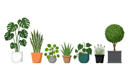 Fototapeta premium Set of various indoor potted plants in modern containers.