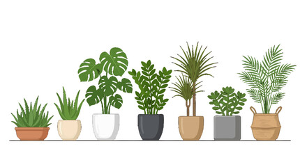 Fototapeta premium Collection of various indoor potted house plants in decorative pots.