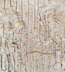 Obraz premium Wood brown wooden textured fiber surface macro detail