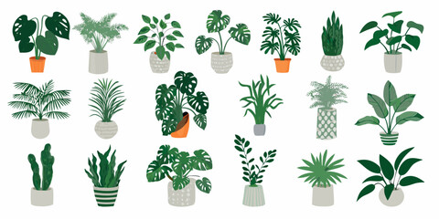 Potted Houseplants Collection Colorful Vector Illustration On White Background © BidhanChandra