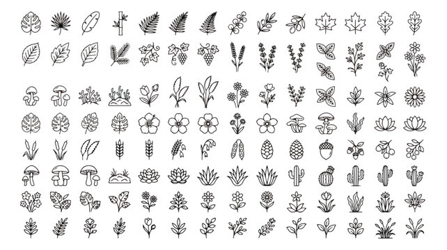 Minimalist botanical line icons, collection of 100 floral and leaf vector elements, black outline nature symbols for branding and logo design