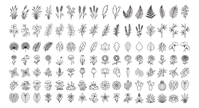 Hand drawn botanical line art icons, set of 112 minimalist floral sketches and leaf illustrations, black ink nature doodles for wedding stationery