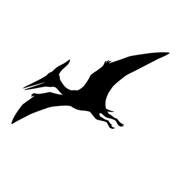 Silhouette of a flying pterodactyl dinosaur icon.