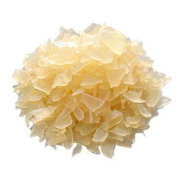 Cream hydrangea flower, small resolution assets stocks