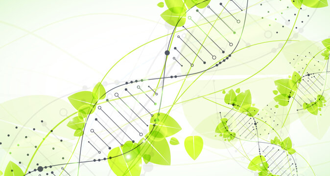 Abstract green eco DNA helix with digital plexus network and organic leaves. Vector illustration