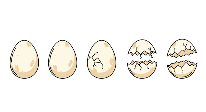 Sequence of five stages of a bird egg hatching from a whole speckled egg to a completely cracked and broken shell.