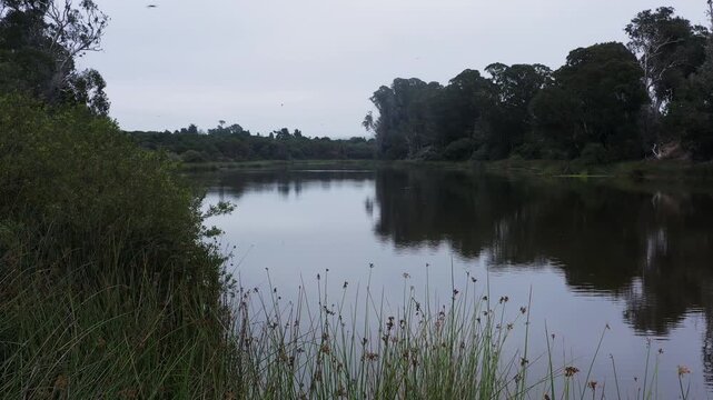 Moody morning drone flight Schwan Lagoon CA