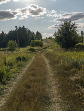 Dirt Country Road Leading Through Green Grassy Fields Under Clouds