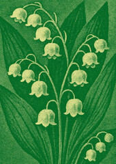 Obraz premium Vintage floral illustration elegance
