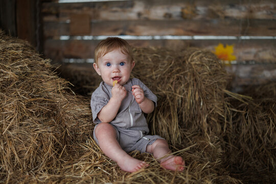 Baby sitting on stack of dry hay inside wooden barn structure looking at camera