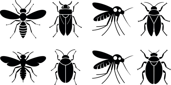 Title:
Set of insect icons including wasp beetle and mosquito silhouette vector illustrations isolated on white background