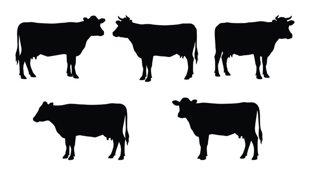 Five black silhouette cows standing in a row