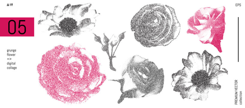 Rose collage flower and daisy floral pattern with grain texture, vintage grunge brush stipple effect. Abstract geometric figure with petal gradation, trendy dot leaf art, retro digital dotwork
