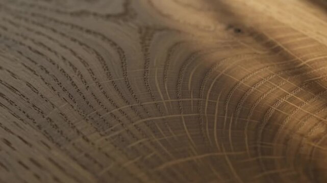 Oak Wood Texture (Quercus robur), Hardwood Grain Background