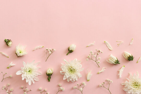 Top view image of white flowers on pastel background