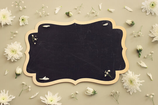 Top view image of white flowers on pastel background