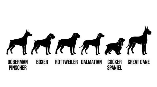 Dog breed silhouettes collection, set of 6 canine profile icons including Doberman and Great Dane, black pet animal shapes on white background