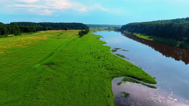 Green grass landscape bordering a calm river with clear blue sky and distant trees in summer