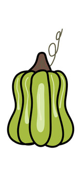 Cute hand-drawn green pumpkin illustration. Autumn harvest, Thanksgiving, and Halloween design element isolated on transparent or white background, png