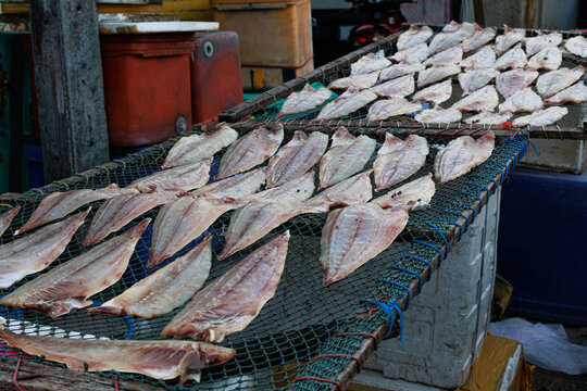 Freshly caught fish laid out to dry at a traditional coastal fishing village. The image represents artisanal fishing, seafood processing, local food production and the coastal economy.
