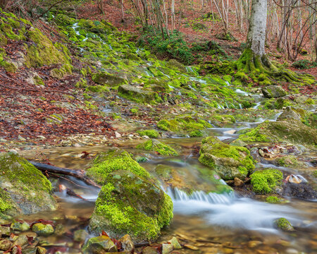 Ein kleiner Wildbach flie&szlig;t &uuml;ber gr&uuml;ne Moospolster im Wald, Schw&auml;bische Alb, Baden-W&uuml;rttemberg, Deutschland
