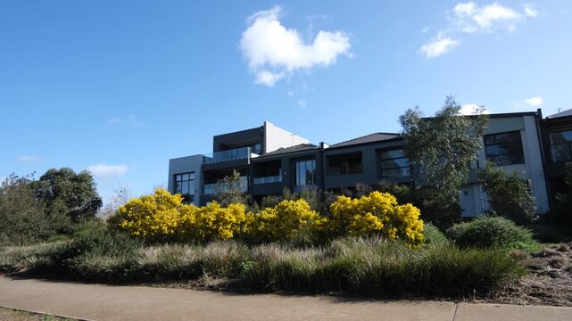 Modern homes or townhouses with contemporary facade behind a flowering yellow wattle hedge, blue sky with clouds, suburban Australian residential environment. Houses and green buffer zone