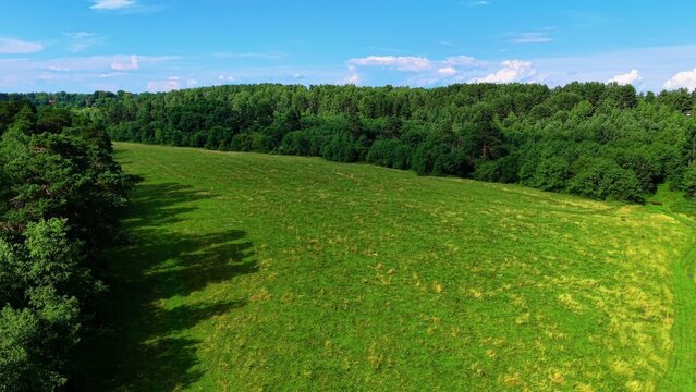 Lush green grassland extending under clear blue skies with scattered trees and vibrant foliage