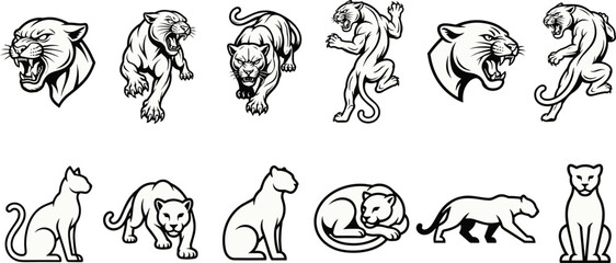 Panther and cougar illustrations in dynamic roaring poses and calm silhouettes, wild feline artwork, predator vector design collection © Artist RH