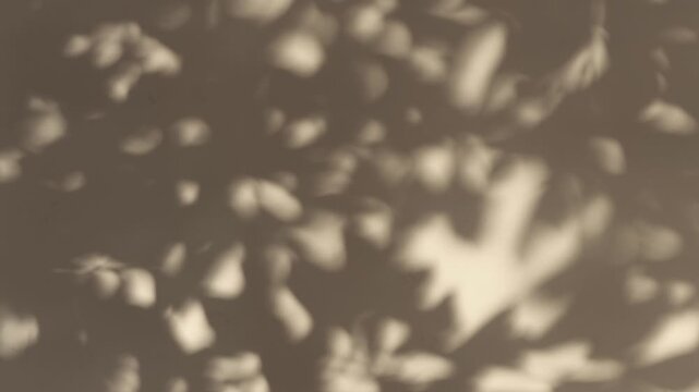 Beige background with shadows from plants, leaves and gradually fading light spots.