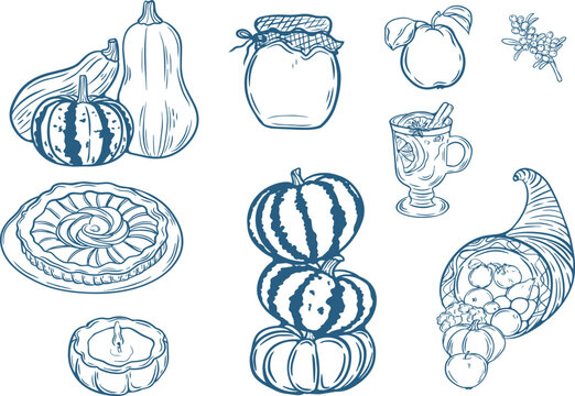 Hand drawn autumn element set, outline sketch pumpkins, cornucopia, jar and pie, thanksgiving and fall harvest line art illustration