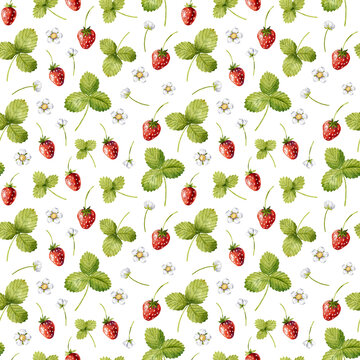 Seamless pattern with watercolor strawberries, green leaves, and delicate white flowers on a clean white background.