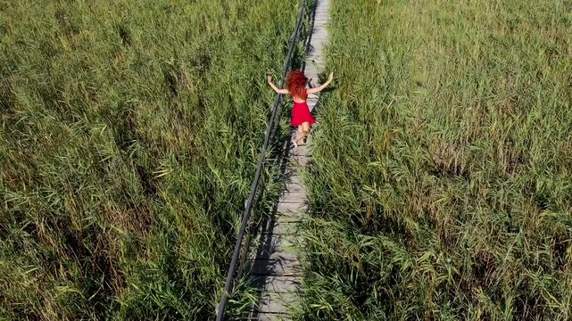  Aerial view of provocative woman in red dress walking on wooden footbridge in reeds