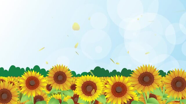 夏のひまわり背景