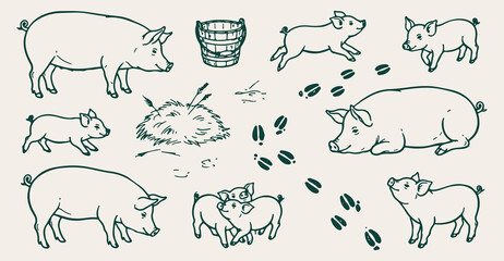 Farm Pigs & Piglets, Hand Drawn Pig Piglet Line Art, Farm Animal Piglet Seamless Pattern, Hay Basket Footprint Vector Illustration, Country Livestock Doodle Background, Vintage Farm Animals Wallpaper  © Geetaroy