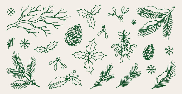holly mistletoe seamless pattern, hand drawn Christmas botanical line art, winter pine cone vector illustration, holiday foliage doodle background, evergreen nature wallpaper, vintage winter flora ske