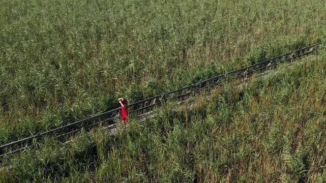 Aerial view of woman in red dress walking on a wooden walkway, surrounded by green reed in natural sunlight