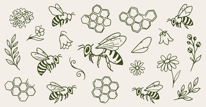 wasp honeybee seamless pattern, hand drawn honeycomb line art, insect apiculture vector illustration, natural honey doodle background, flying bee wallpaper, vintage nature sketch print, organic insect
