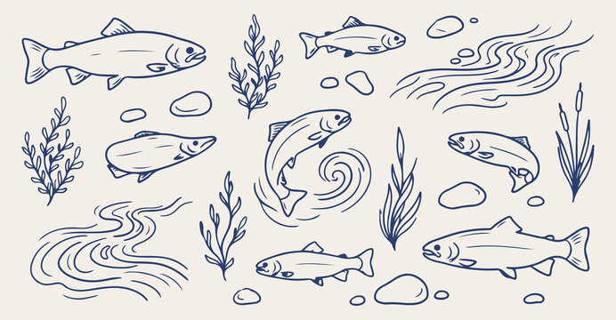 river fish seamless pattern, hand drawn aquatic life line art, trout salmon vector illustration, underwater stream doodle background, fishing theme wallpaper, vintage nature sketch print, ocean fauna 