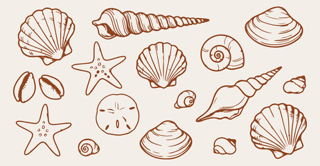 ocean seashell seamless pattern, hand drawn sea shell line art, starfish aquatic vector illustration, coastal marine doodle background, tropical beach shell wallpaper, vintage underwater treasure sket © Geetaroy