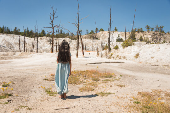 fine art portrait of girl in blue dress in Yellowstone in mineral after fire landscape