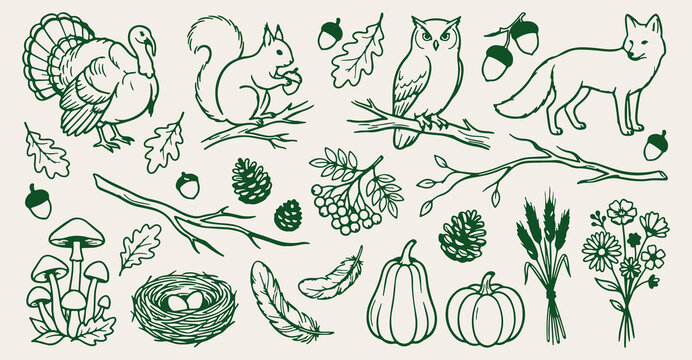 autumn woodland wildlife seamless pattern, hand drawn owl squirrel line art, oak acorn leaf vector illustration, forest nature doodle background, green fall sketch wallpaper, continuous woodland anima