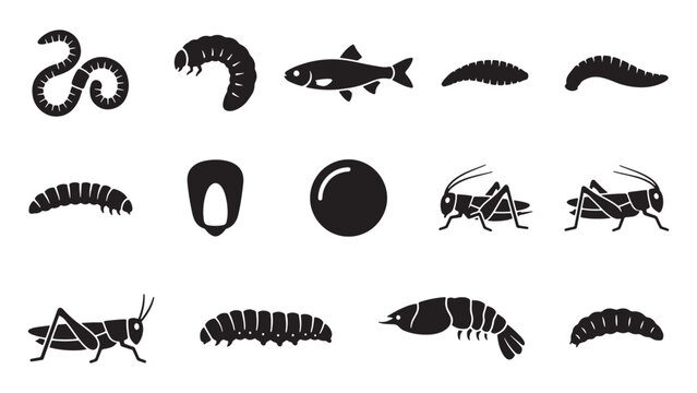 A collection of various fishing bait shapes and forms displayed in a set featuring natural organisms like worms and larvae along with aquatic creatures for professional anglers to use in the