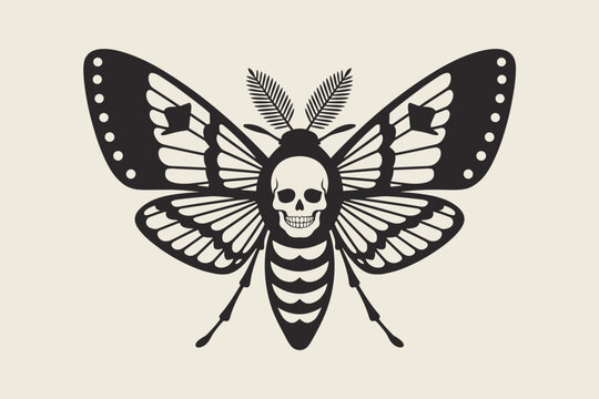 Death's-head hawkmoth with skull pattern on thorax, black and off-white insect entomology