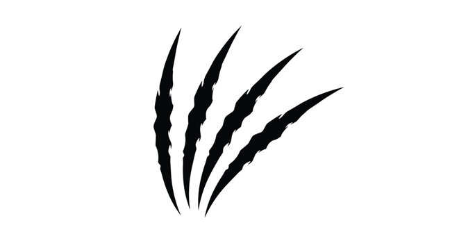 Aggressive beast five claw scratch marks in black ink brush stroke isolated on a clean solid white background.